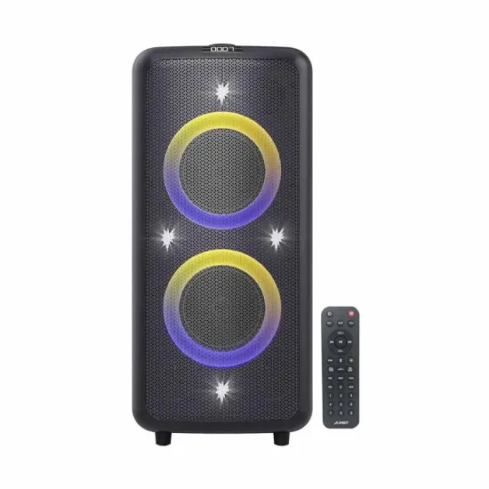 F&D PA300 Bluetooth Party Speaker