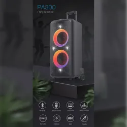 F&D PA300 Bluetooth Party Speaker