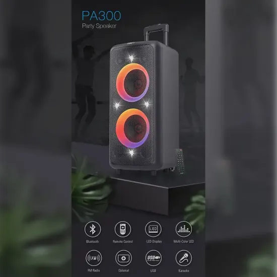 F&D PA300 Bluetooth Party Speaker