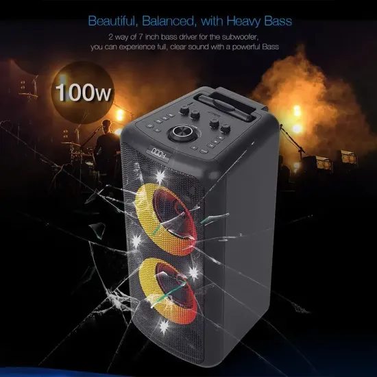 F&D PA300 Bluetooth Party Speaker