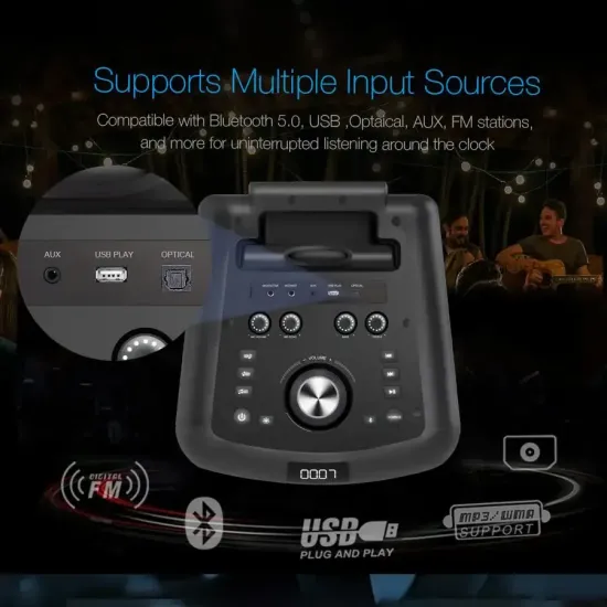 F&D PA300 Bluetooth Party Speaker