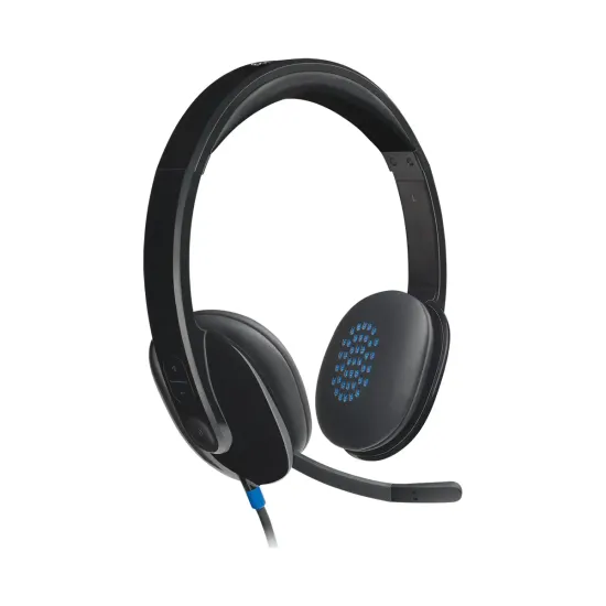 Logitech H540 USB Headphone